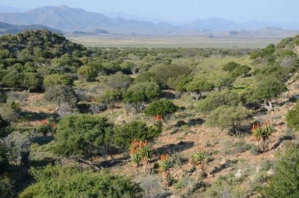 Foto Sud Africa