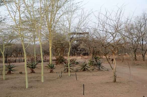 Foto Sud Africa