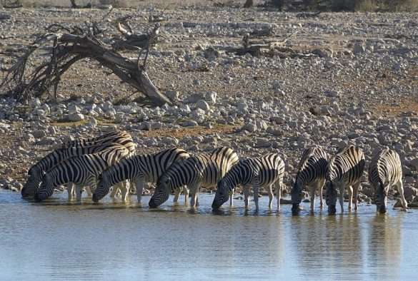 Foto Sud Africa
