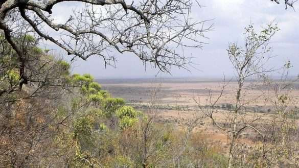 Foto Sud Africa