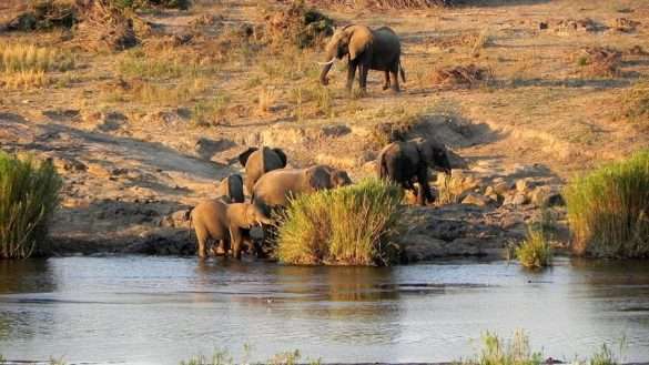 Foto Sud Africa