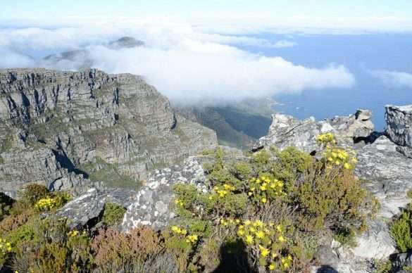 Foto Sud Africa