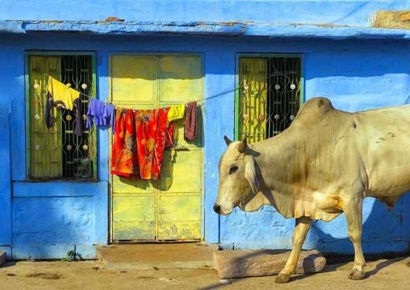 India