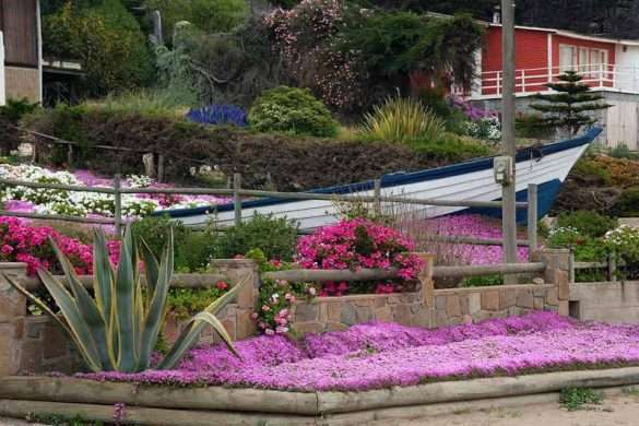 Foto Cile Patagonia