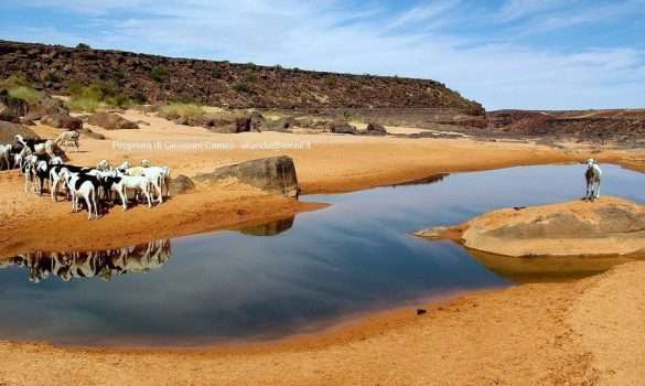 Mauritania