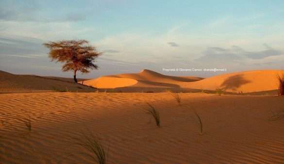 Mauritania