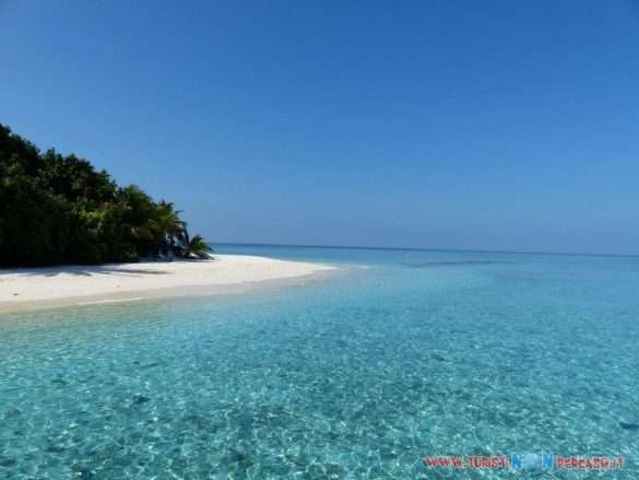 Maldive Fihalhohi