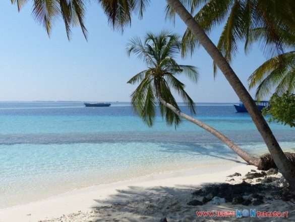 Maldive Fihalhohi