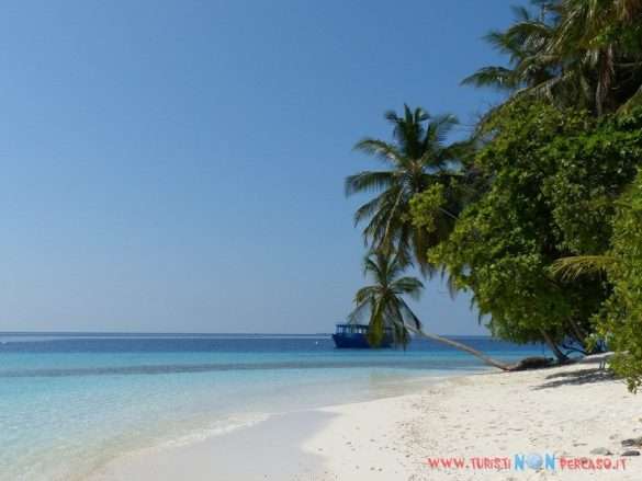Maldive Fihalhohi