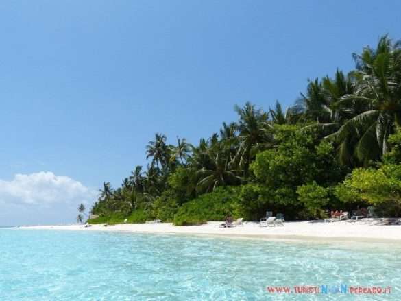 Maldive Fihalhohi