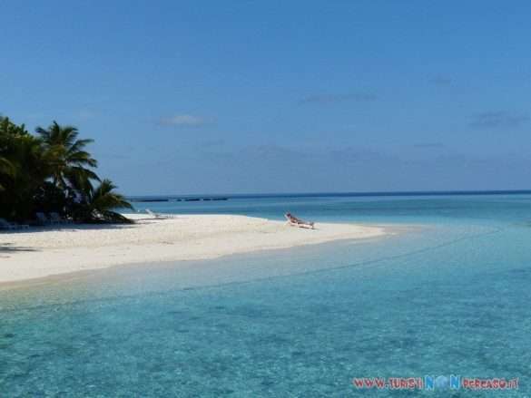Maldive Fihalhohi