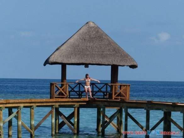 Maldive Fihalhohi