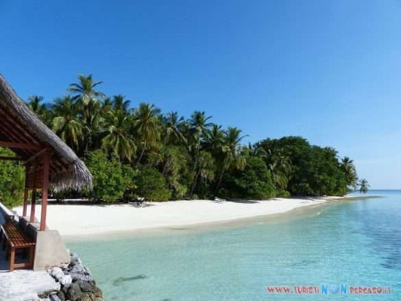 Maldive Fihalhohi