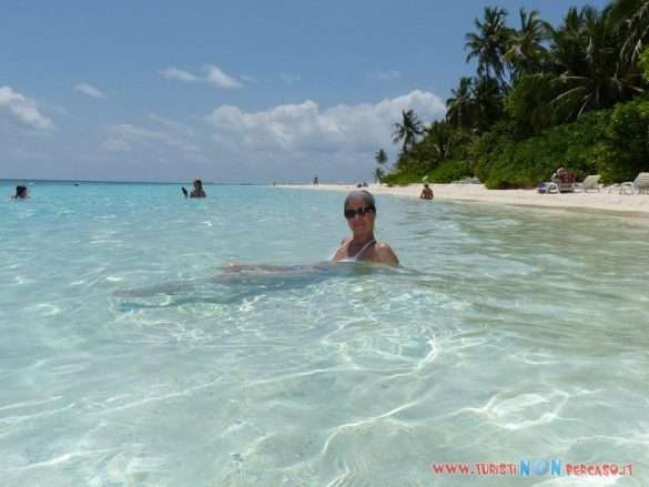 Maldive Fihalhohi