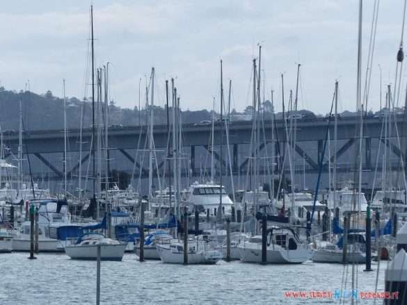 Nuova Zelanda Auckland