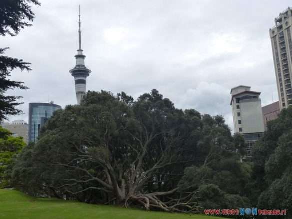 Nuova Zelanda Auckland