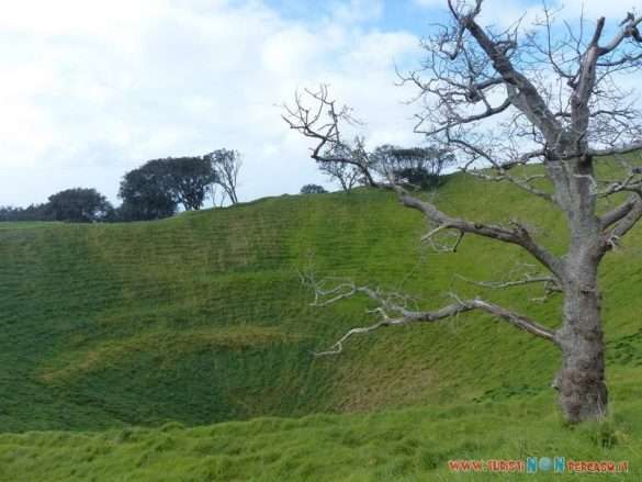 Nuova Zelanda Auckland