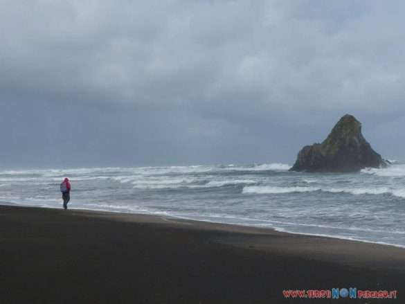 Video Auckland karekare