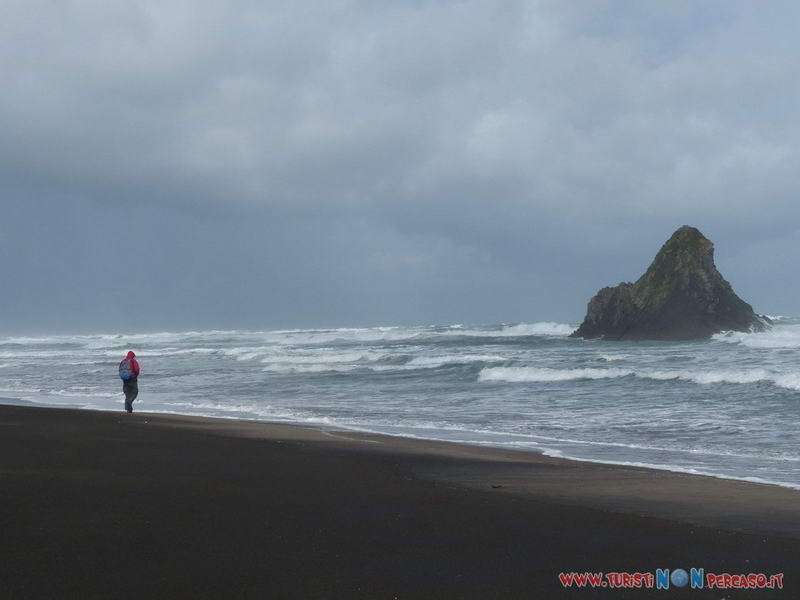 Video Auckland karekare