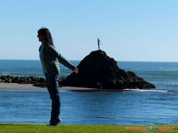 Isola del Nord della Nuova Zelanda tra Wellington e Cape Reinga