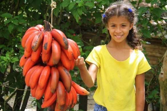Dominicana Repubblica