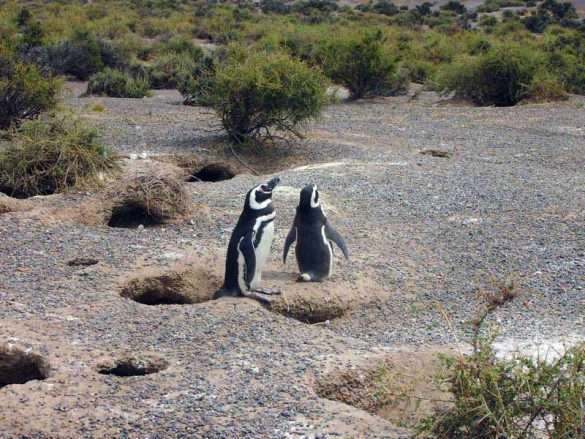 Foto Argentina