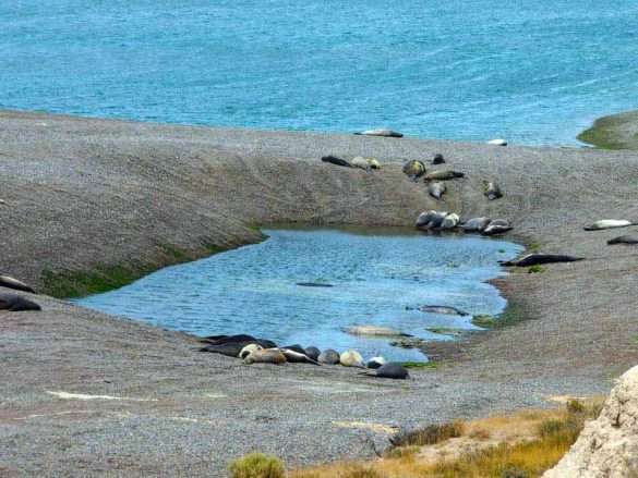 Foto Argentina