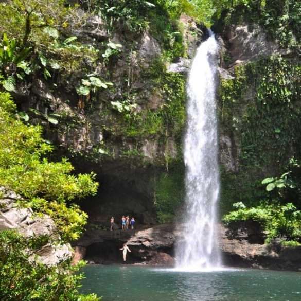 Foto Isole Figi