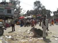India-Gujarat_01