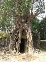 Vietnam Laos