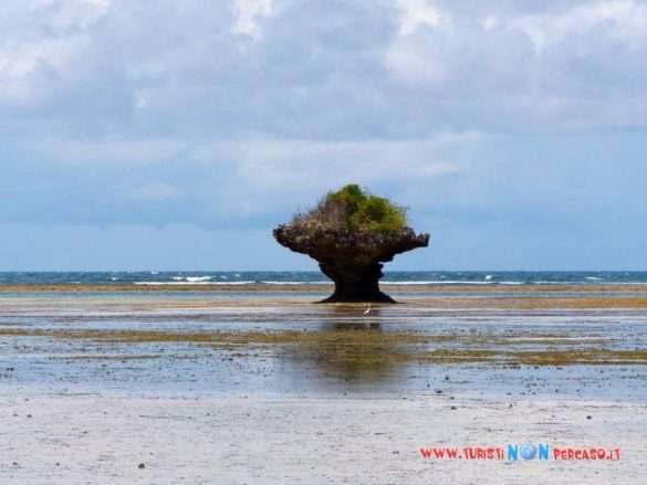 Chale Island Kenya
