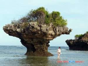 chale island resort kenya