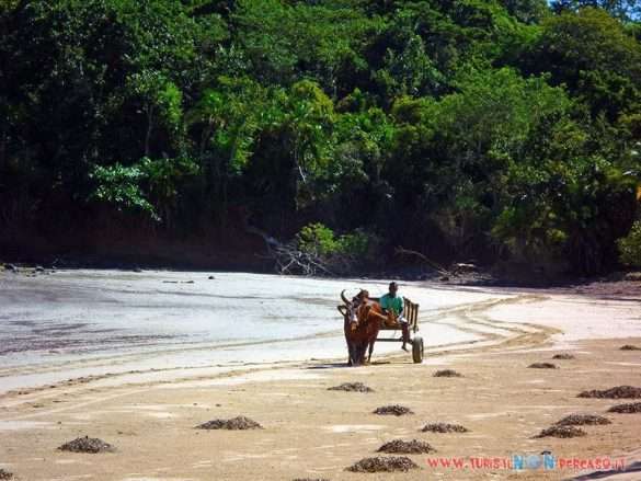 Madagascar Amarina Nosy Be