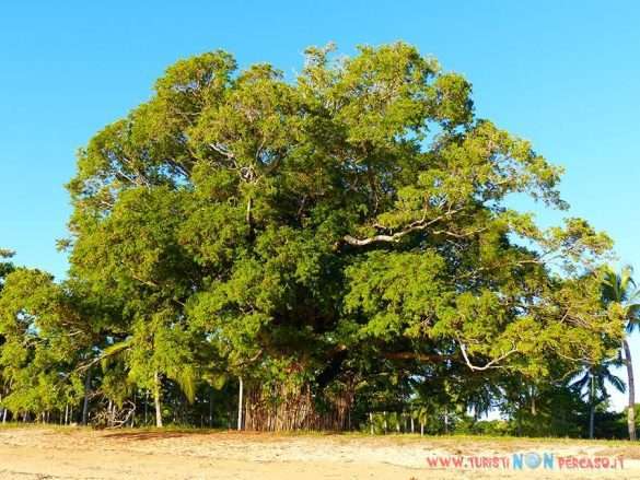 Madagascar Amarina Nosy Be
