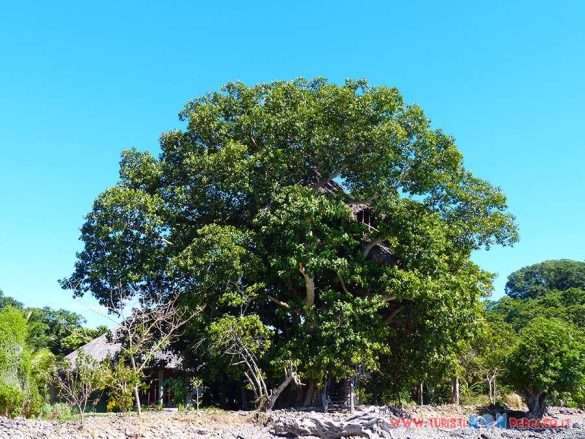 Madagascar Amarina Nosy Be