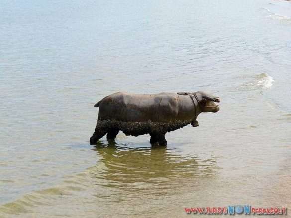 cambogia sihanouk