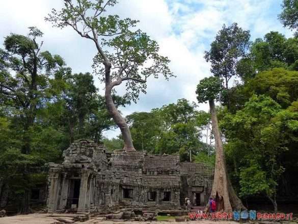 siem reap angkor wat