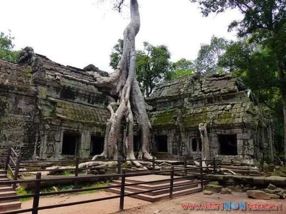 siem reap angkor wat
