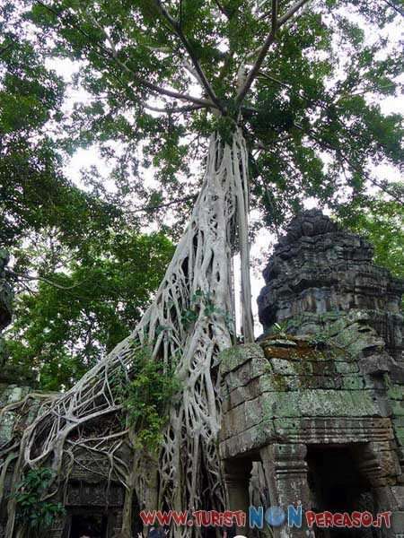 siem reap angkor wat