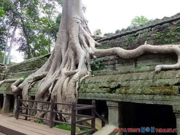 siem reap angkor wat