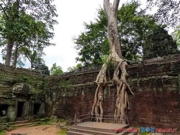 siem reap angkor wat