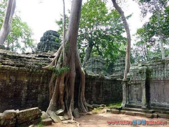 siem reap angkor wat