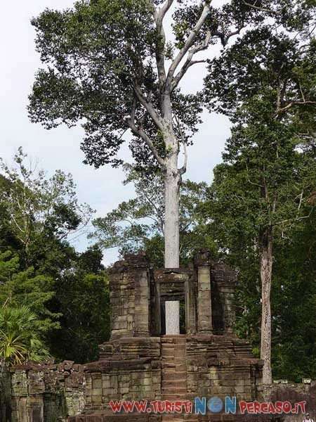 siem reap angkor wat