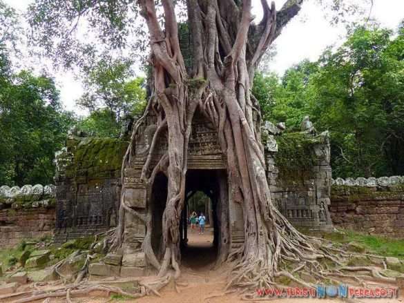 siem reap angkor wat