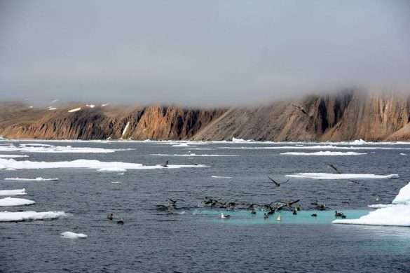 Mare Artico Groenlandia