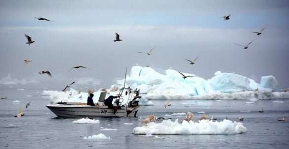 Mare Artico Groenlandia