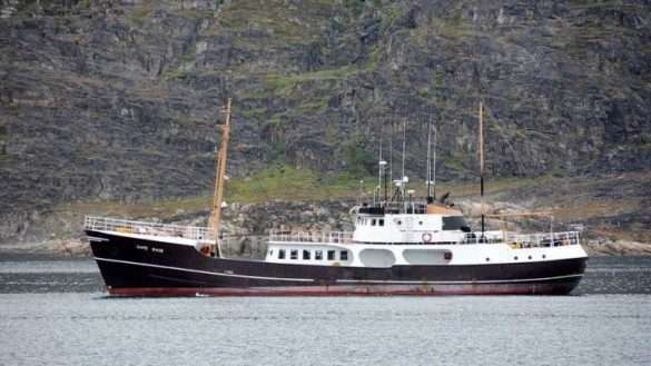 Mare Artico Groenlandia