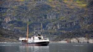 Qeqertarsuaq