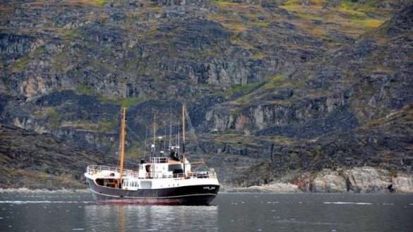Mare Artico Groenlandia