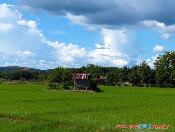 Muang Sing